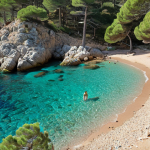 **

A secluded cove in Costa Brava, Spain. Pine trees frame a small, rocky beach with clear turquoise water. A lone person swims, enjoying the tranquility. Soft, diffused sunlight.

**